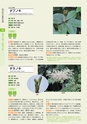 青葉山植物図鑑
