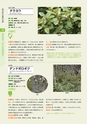 青葉山植物図鑑