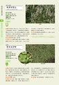 青葉山植物図鑑