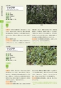 青葉山植物図鑑