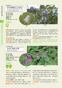 青葉山植物図鑑