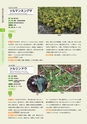 青葉山植物図鑑
