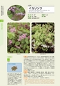 青葉山植物図鑑