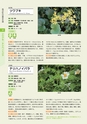 青葉山植物図鑑