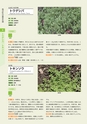 青葉山植物図鑑
