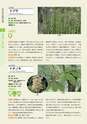 青葉山植物図鑑