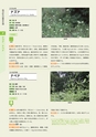 青葉山植物図鑑