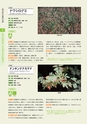 青葉山植物図鑑