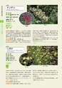 青葉山植物図鑑