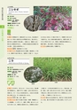 青葉山植物図鑑