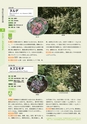 青葉山植物図鑑