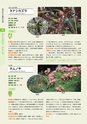 青葉山植物図鑑