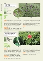 青葉山植物図鑑