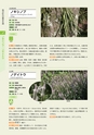 青葉山植物図鑑