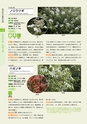 青葉山植物図鑑