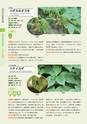 青葉山植物図鑑