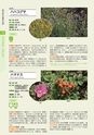 青葉山植物図鑑