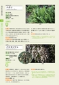 青葉山植物図鑑