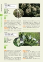 青葉山植物図鑑