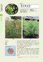 青葉山植物図鑑