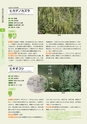 青葉山植物図鑑