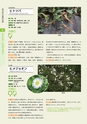 青葉山植物図鑑