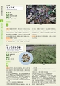 青葉山植物図鑑