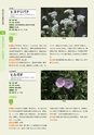 青葉山植物図鑑