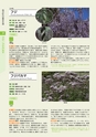 青葉山植物図鑑