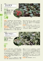 青葉山植物図鑑