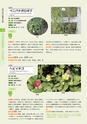青葉山植物図鑑