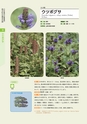 青葉山植物図鑑