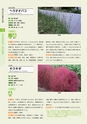 青葉山植物図鑑