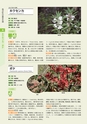 青葉山植物図鑑