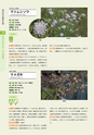 青葉山植物図鑑