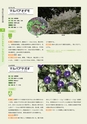 青葉山植物図鑑