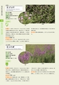 青葉山植物図鑑
