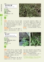 青葉山植物図鑑