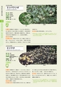 青葉山植物図鑑