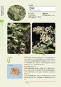 青葉山植物図鑑