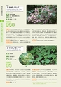 青葉山植物図鑑