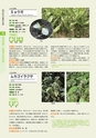 青葉山植物図鑑
