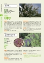 青葉山植物図鑑