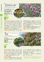 青葉山植物図鑑