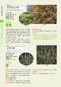 青葉山植物図鑑
