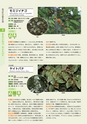 青葉山植物図鑑