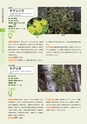 青葉山植物図鑑