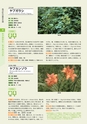 青葉山植物図鑑