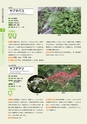 青葉山植物図鑑