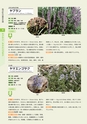 青葉山植物図鑑